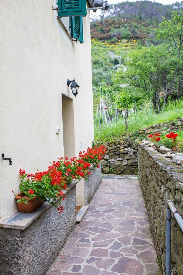 Casa Vacanze Tra Le Mura Levanto Eksteriør bilde