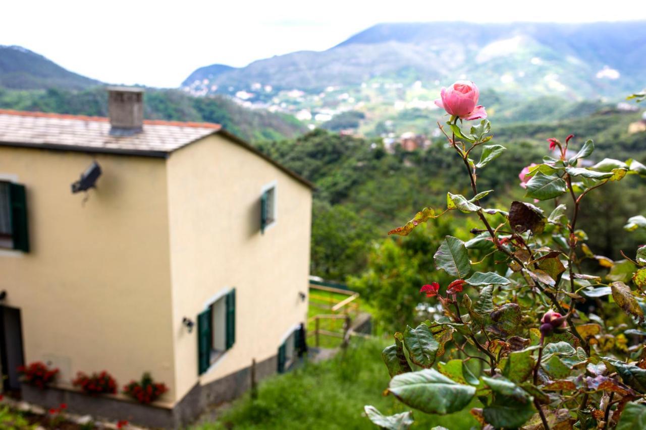 Casa Vacanze Tra Le Mura Villa Levanto Eksteriør bilde